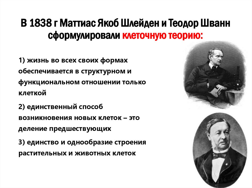 В 1838 г Маттиас Якоб Шлейден и Теодор Шванн сформулировали клеточную теорию:
