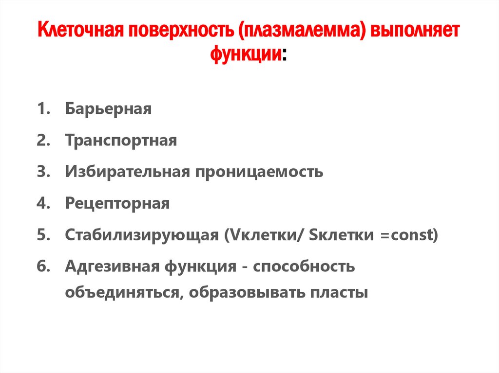 Клеточная поверхность (плазмалемма) выполняет функции: