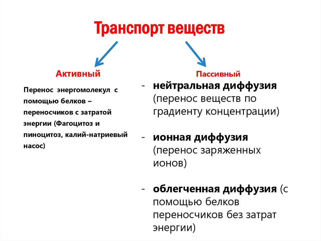 Транспорт веществ