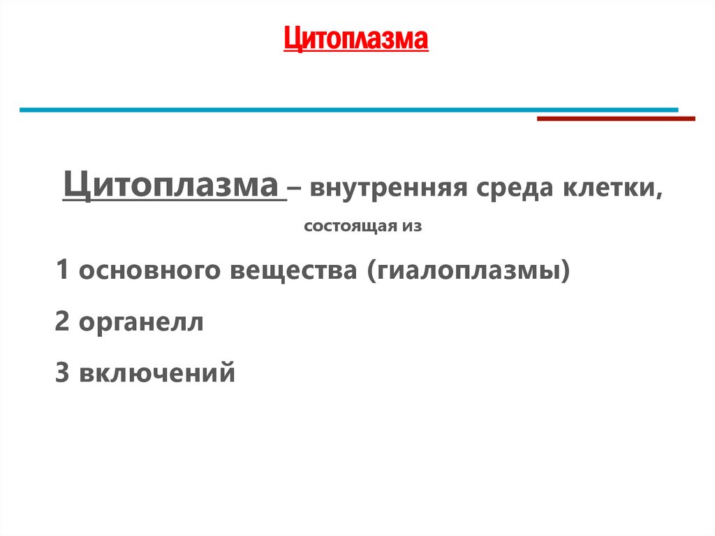 Цитоплазма