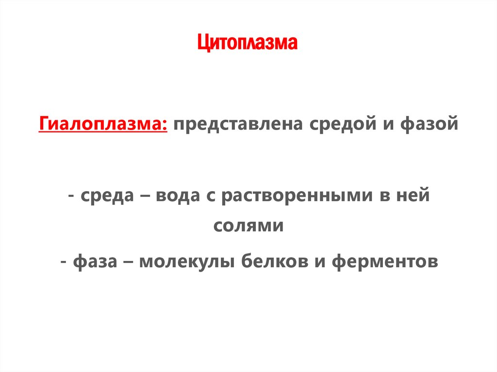 Цитоплазма