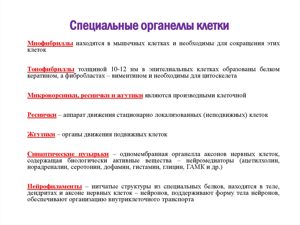 Специальные органеллы клетки