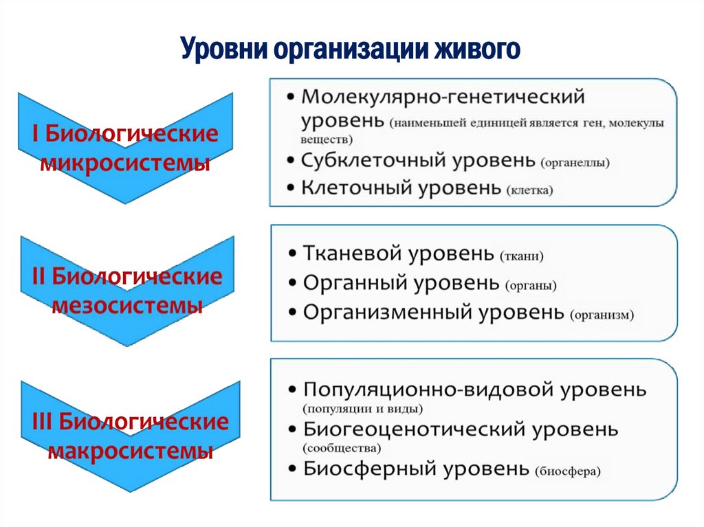 Уровни организации живого