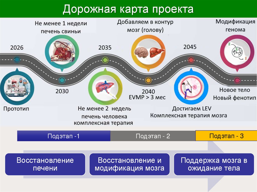 Дорожная карта проекта