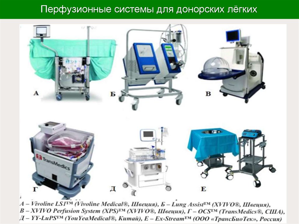 Перфузионные системы для донорских лёгких