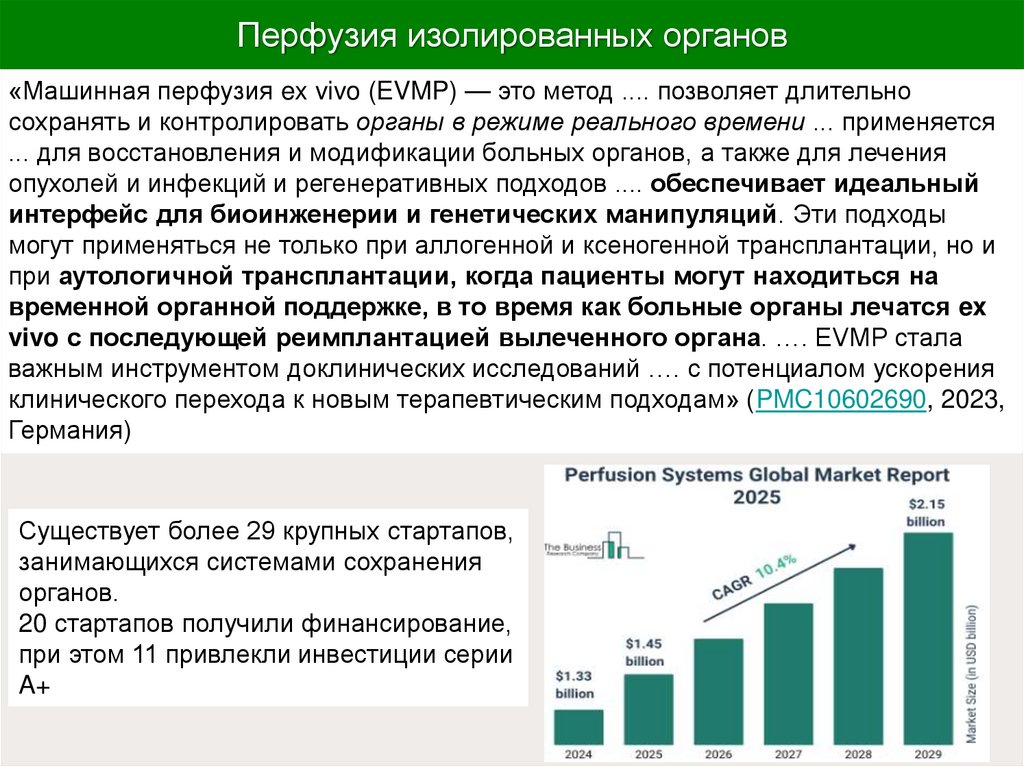 Перфузия изолированных органов