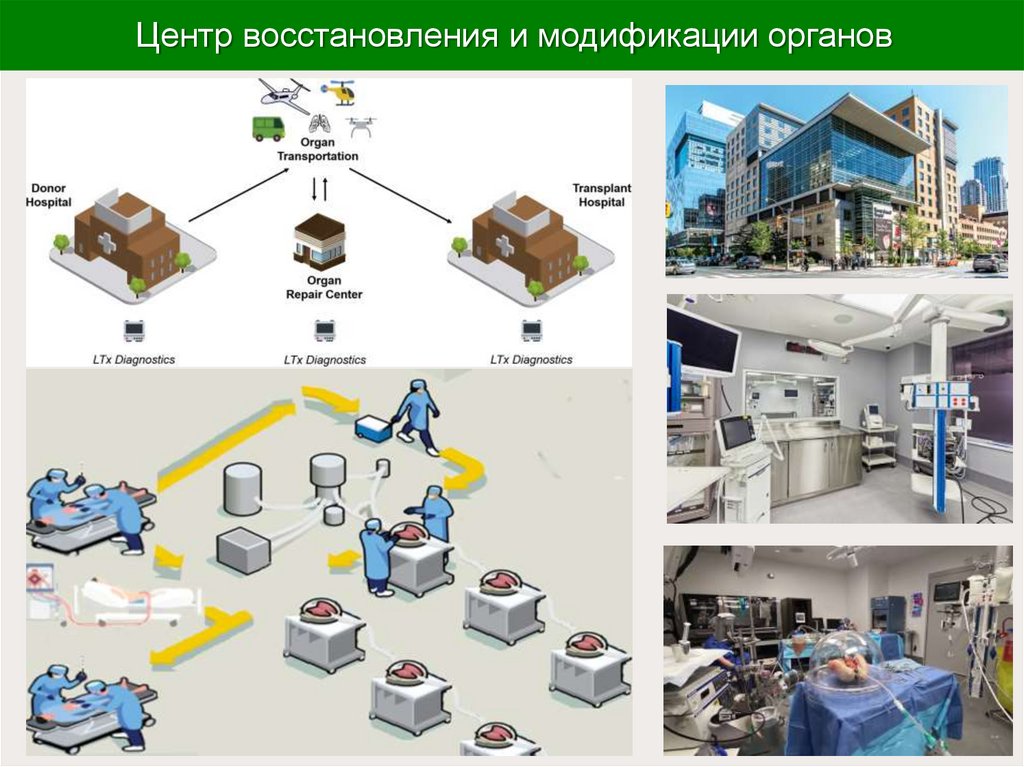 Центр восстановления и модификации органов