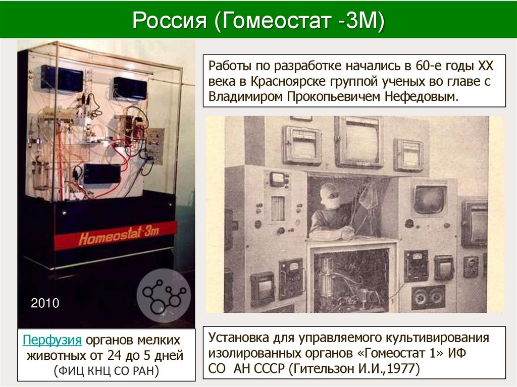 Россия (Гомеостат -3М)