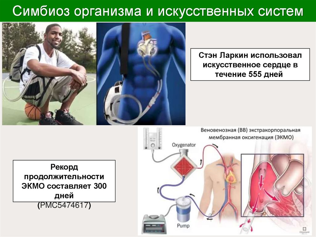 Симбиоз организма и искусственных систем