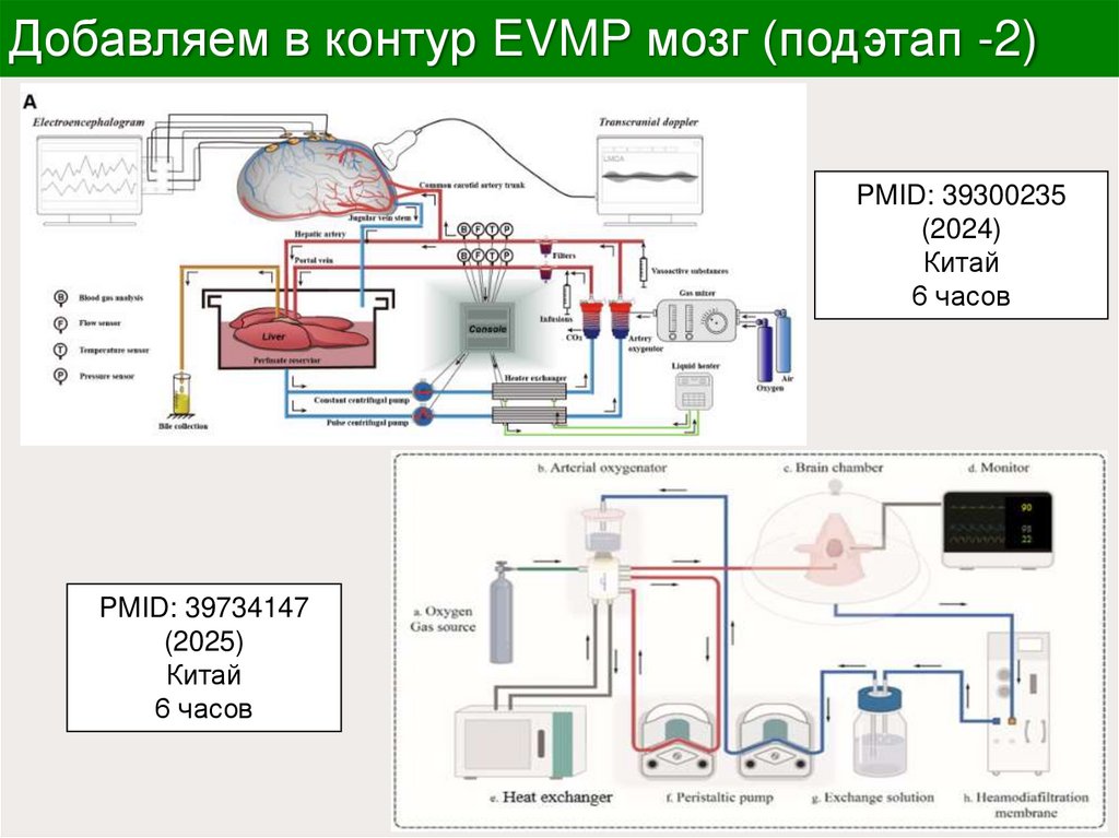 Добавляем в контур EVMP мозг (подэтап -2)