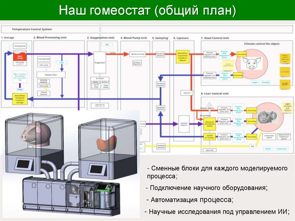 Наш гомеостат (общий план)