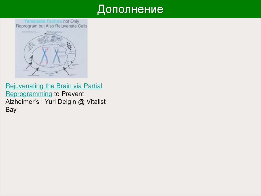 Дополнение