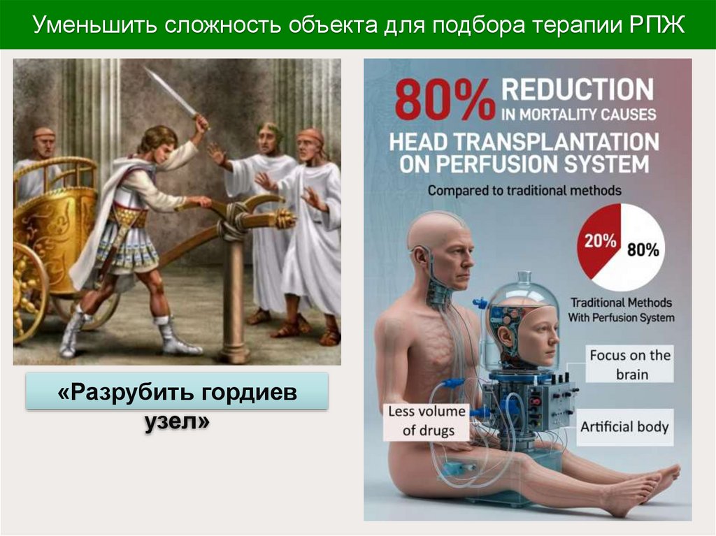 Уменьшить сложность объекта для подбора терапии РПЖ