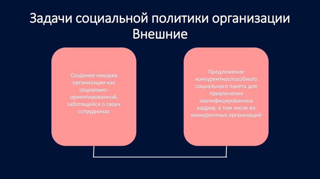Задачи социальной политики организации Внешние