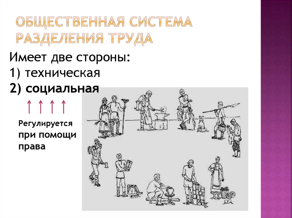 Общественная система разделения труда