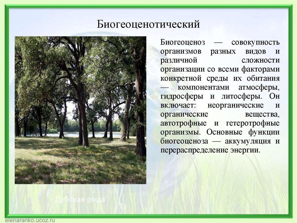 Биогеоценотический