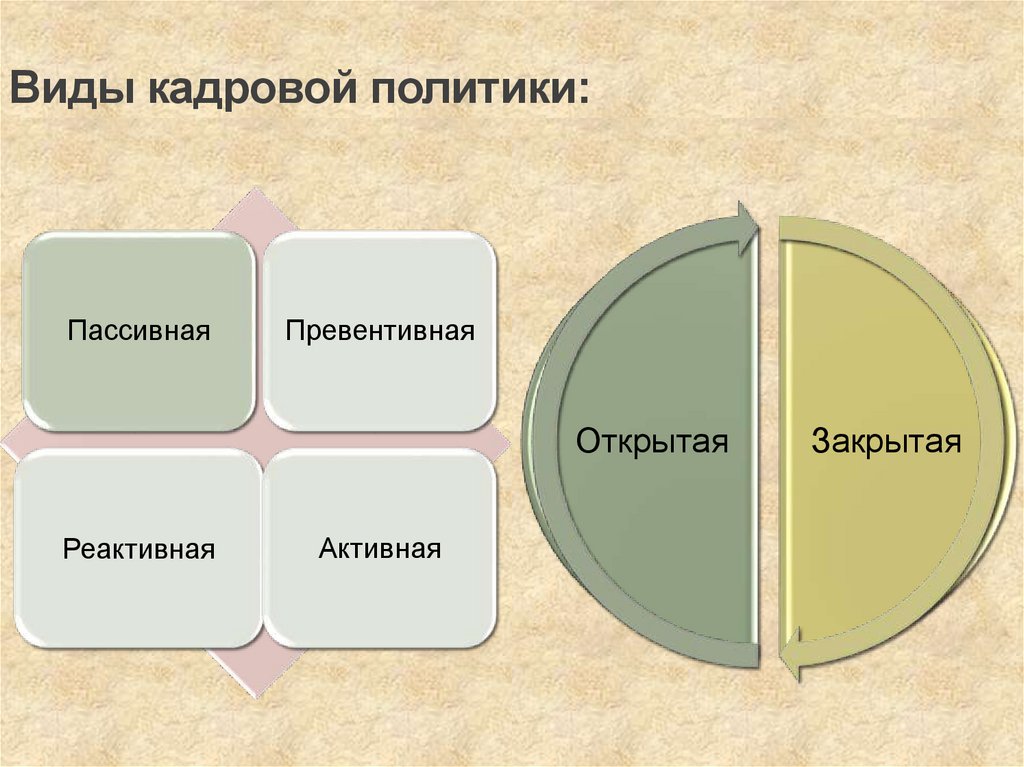 Виды кадровой политики: