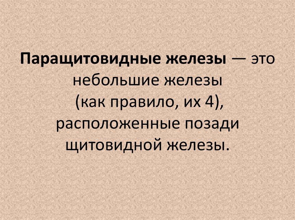 Паращитовидные железы — это небольшие железы (как правило, их 4), расположенные позади щитовидной железы.