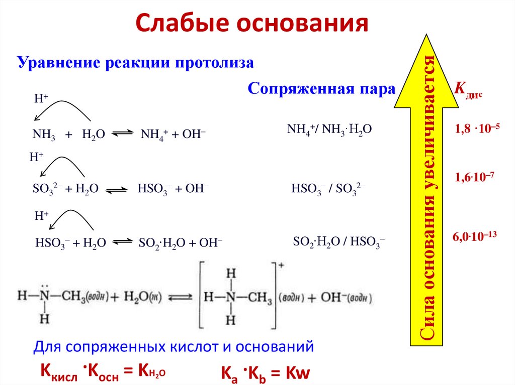 Слабые основания
