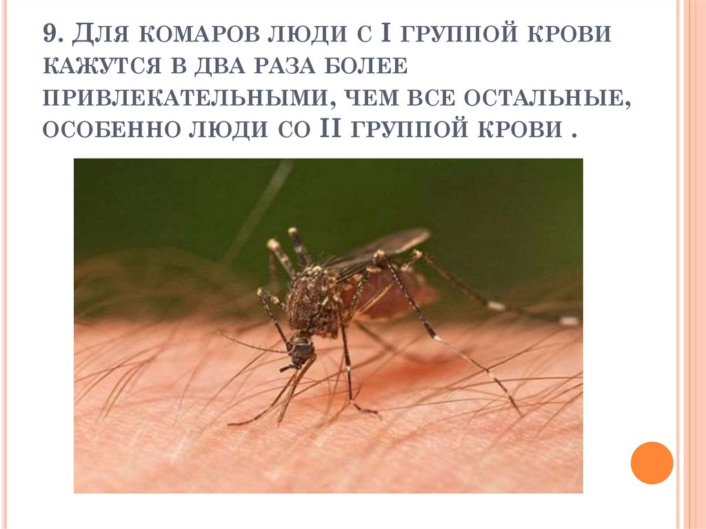 9. Для комаров люди с I группой крови кажутся в два раза более привлекательными, чем все остальные, особенно люди со II группой
