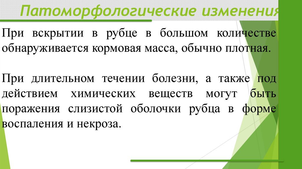 Патоморфологические изменения