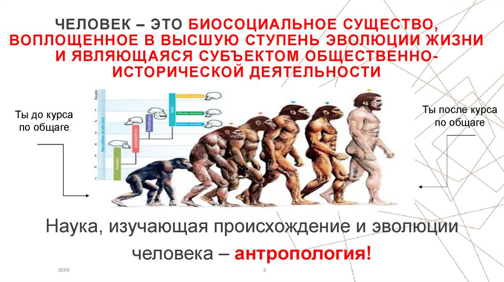 Человек – это биосоциальное существо, воплощенное в высшую ступень эволюции жизни и являющаяся субъектом