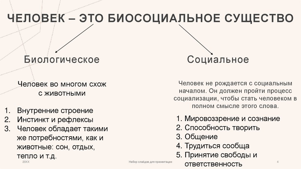 Человек – это биосоциальное существо
