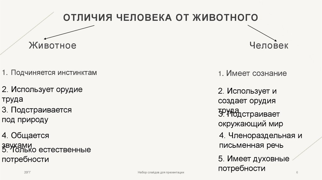 Отличия человека от животного