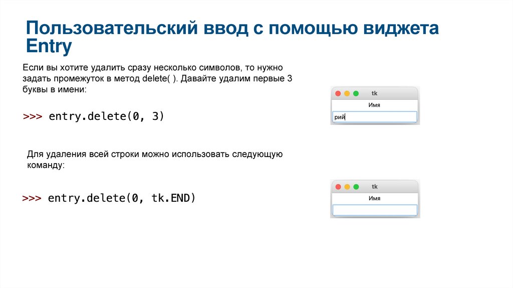 Пользовательский ввод с помощью виджета Entry