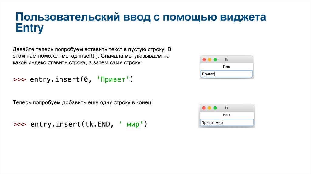 Пользовательский ввод с помощью виджета Entry