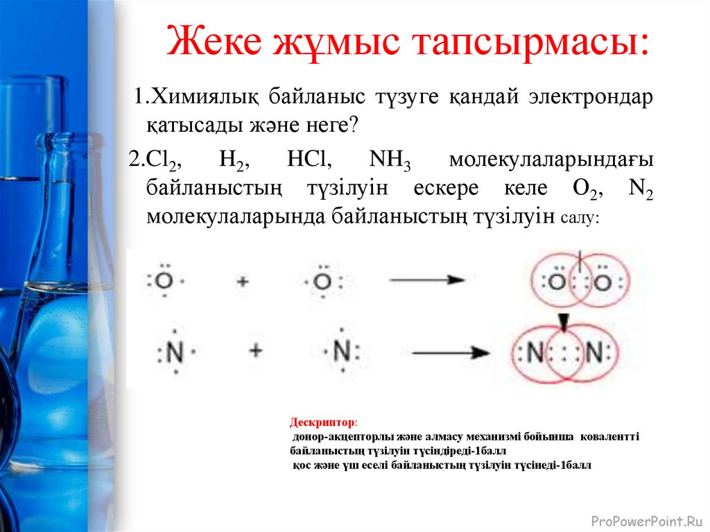 Жеке жұмыс тапсырмасы: