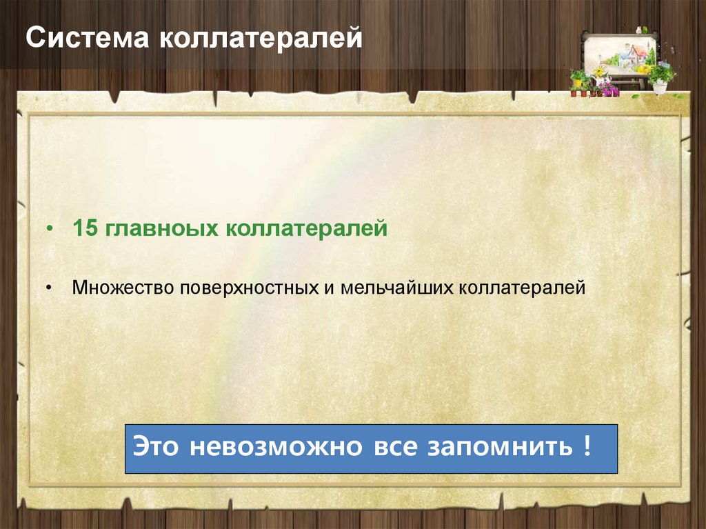 Система коллатералей