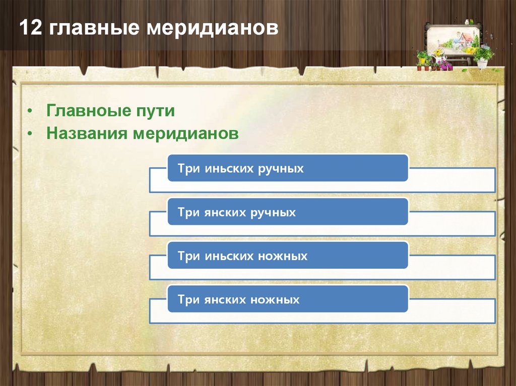 12 главные меридианов