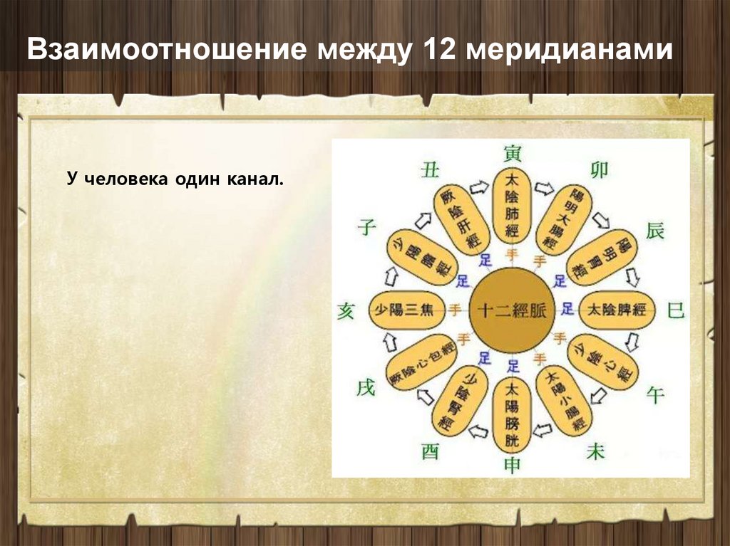 Взаимоотношение между 12 меридианами