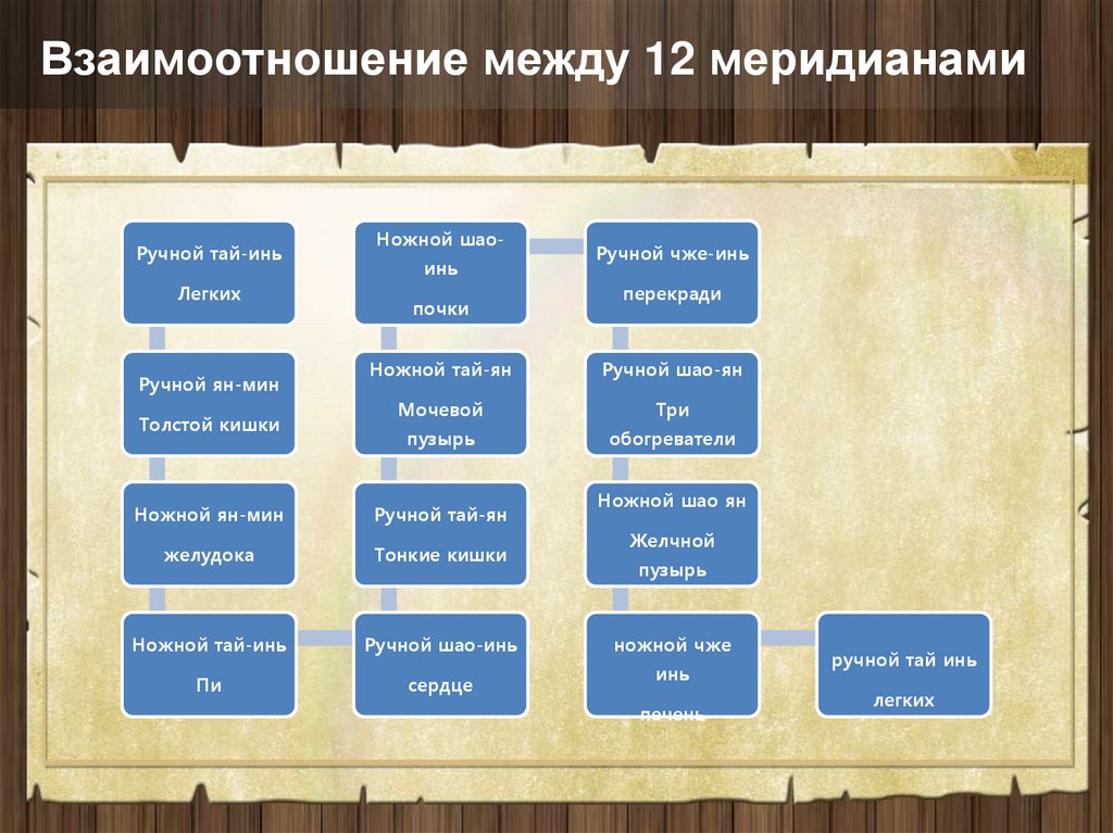 Взаимоотношение между 12 меридианами