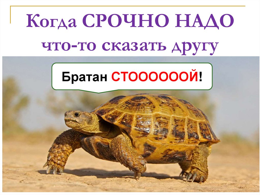 Когда СРОЧНО НАДО что-то сказать другу