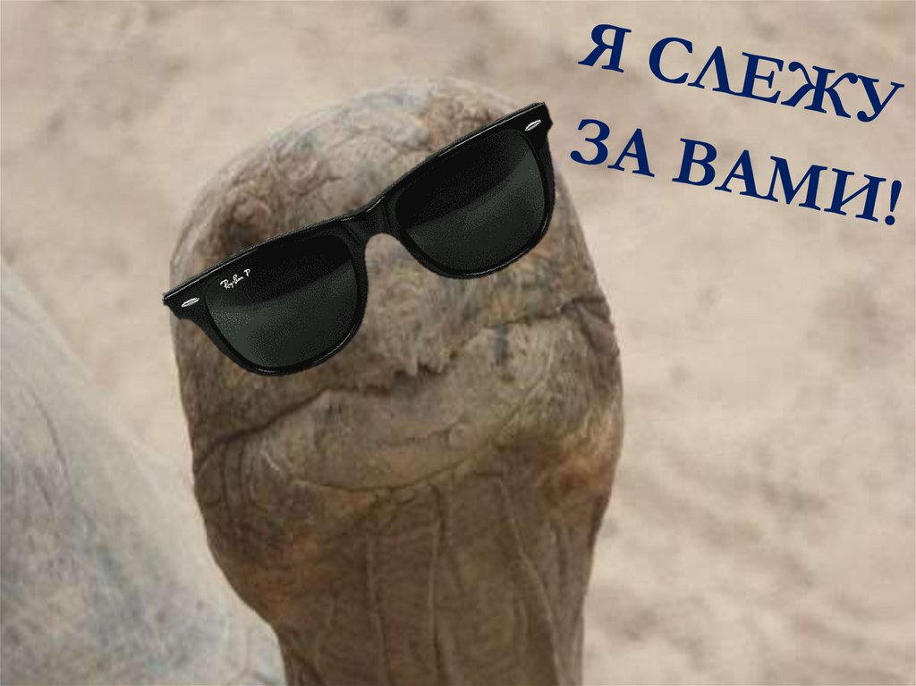 Я СЛЕЖУ