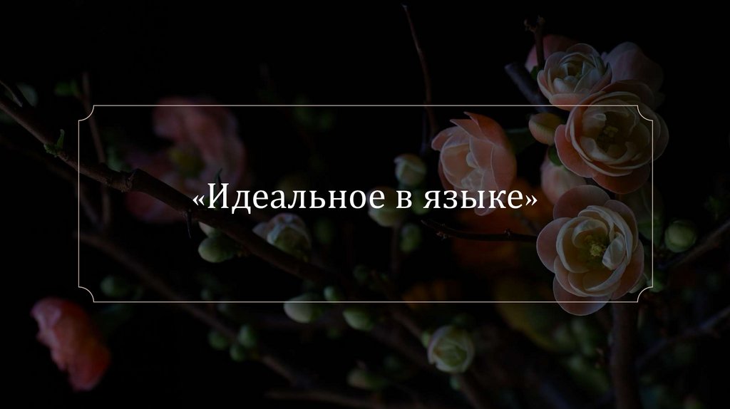 «Идеальное в языке»