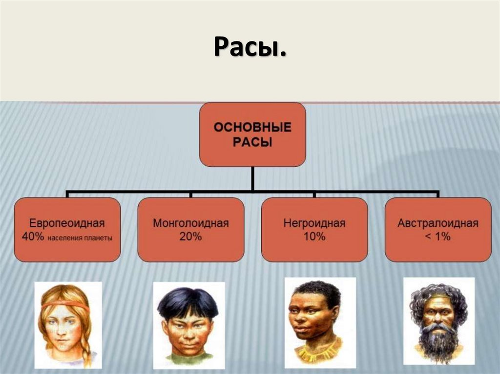 Расы.