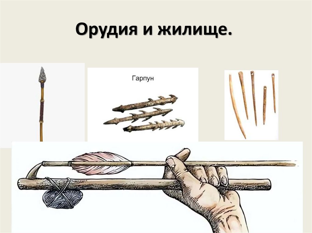 Орудия и жилище. 