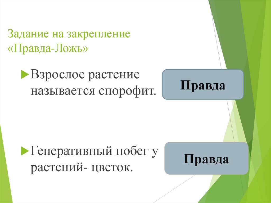 Задание на закрепление «Правда-Ложь»