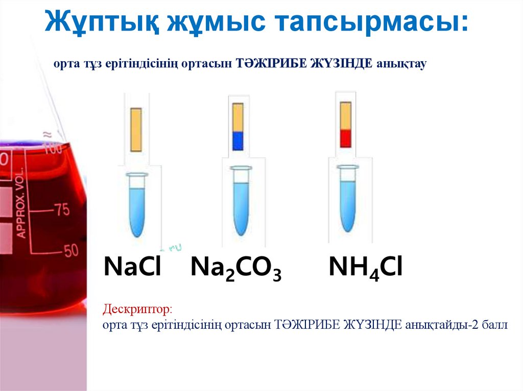 Жұптық жұмыс тапсырмасы: