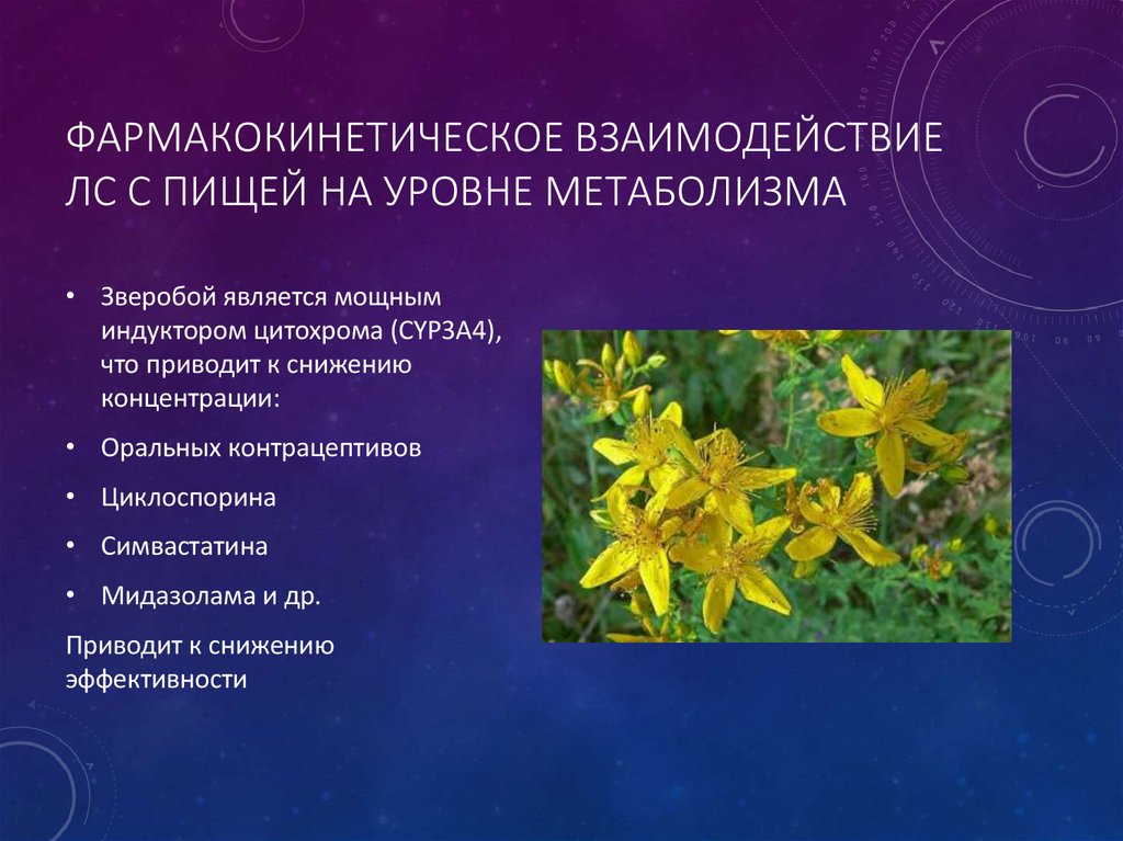 Фармакокинетическое взаимодействие ЛС с пищей на уровне метаболизма