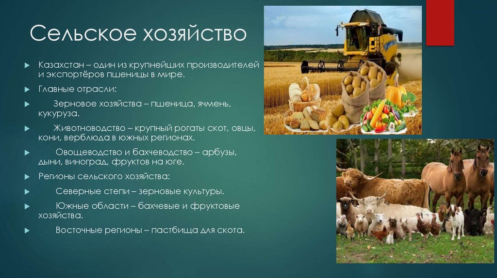 Сельское хозяйство