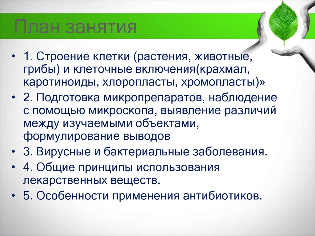 План занятия