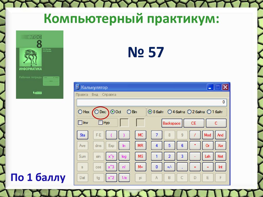 Компьютерный практикум: