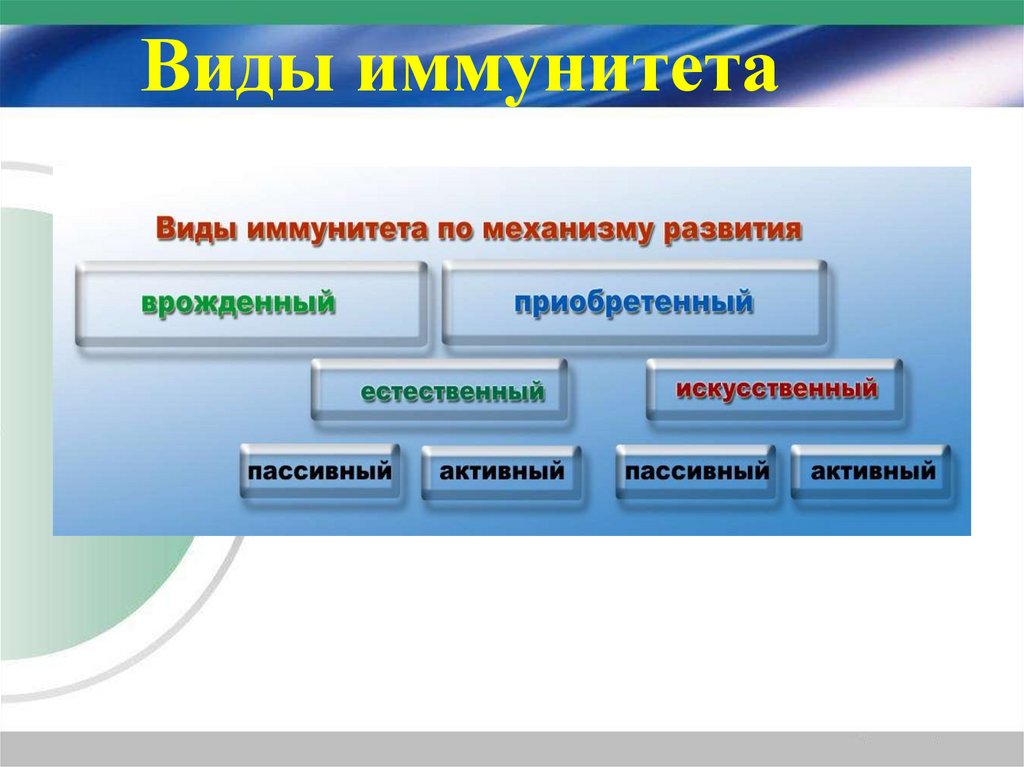 Виды иммунитета