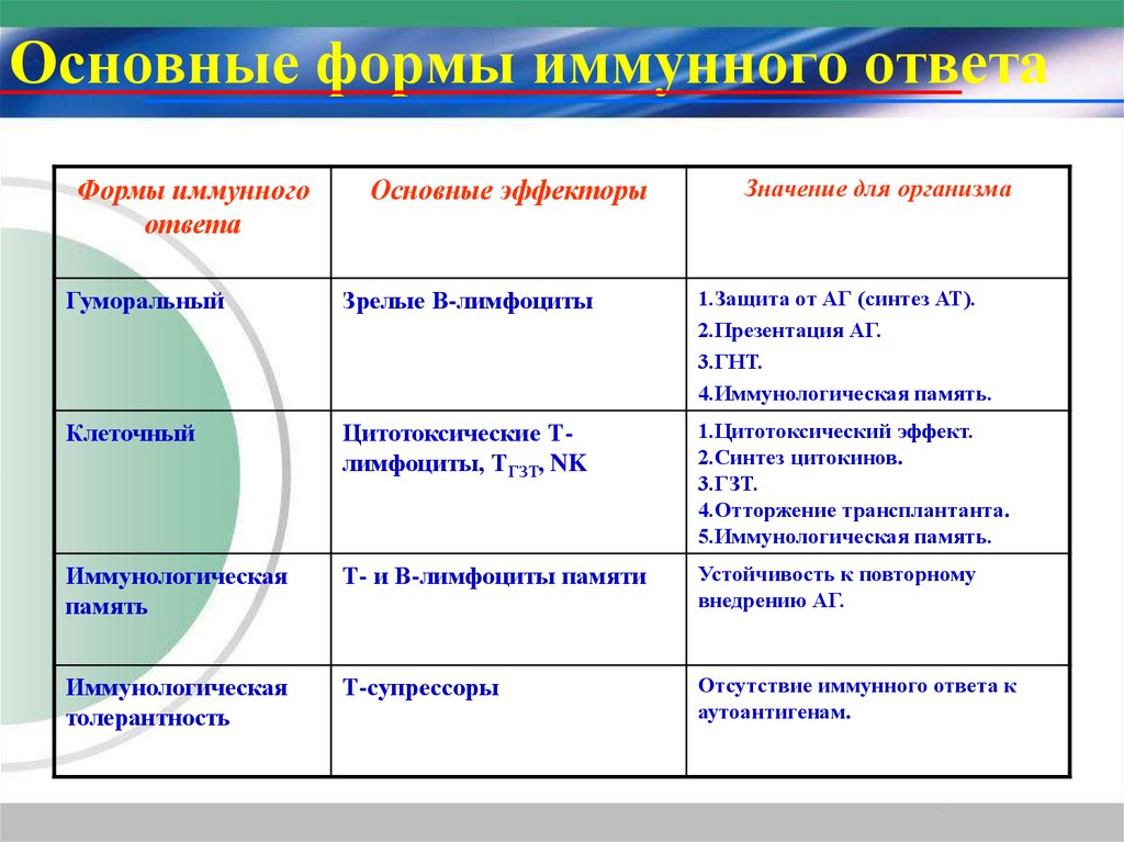 Основные формы иммунного ответа