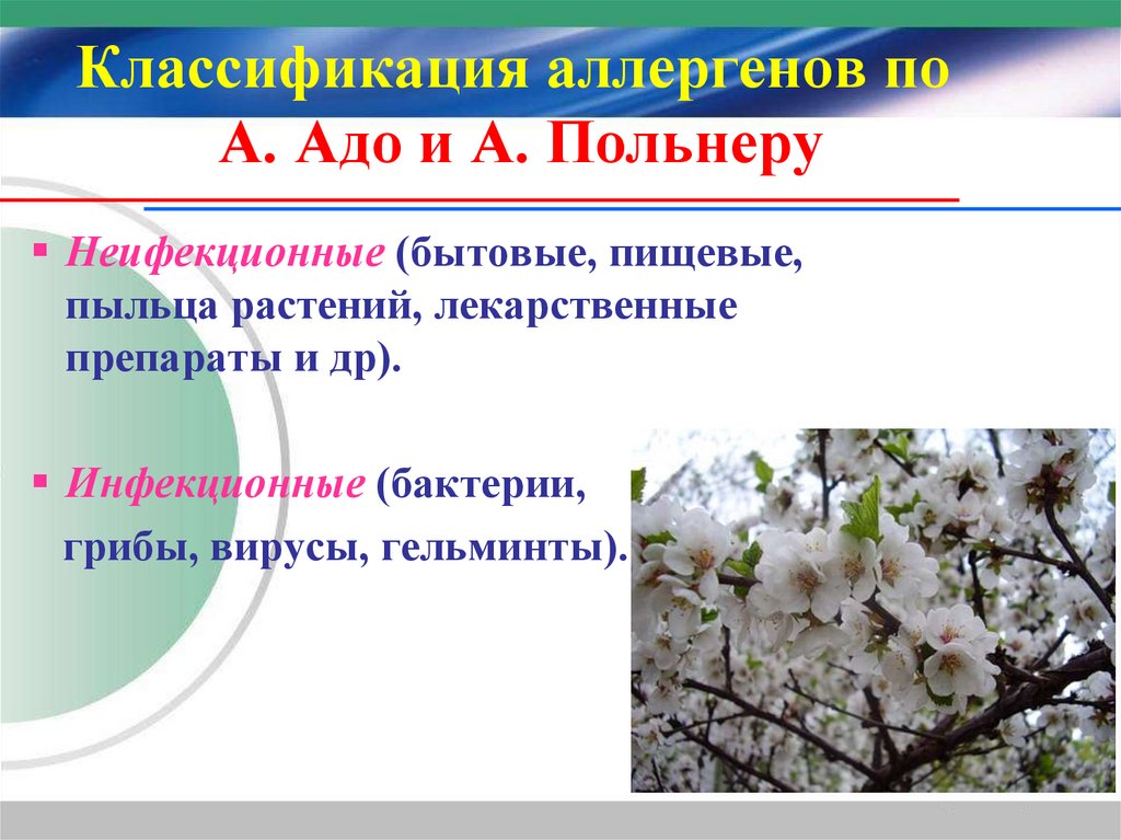 Классификация аллергенов по А. Адо и А. Польнеру