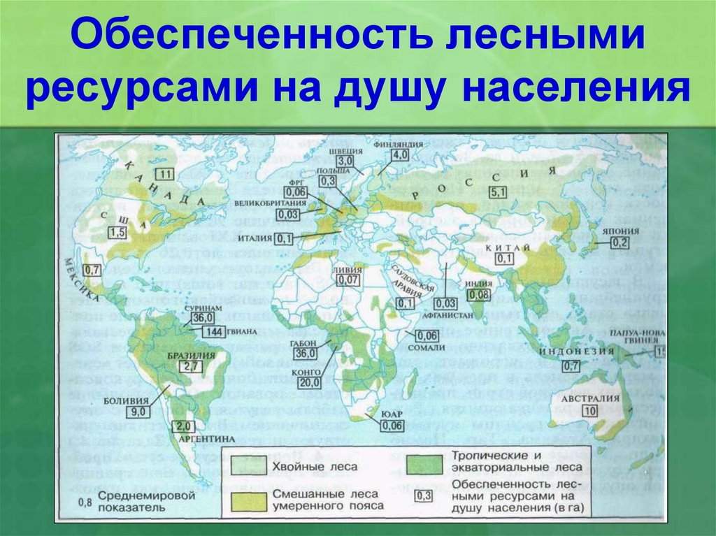 Обеспеченность лесными ресурсами на душу населения